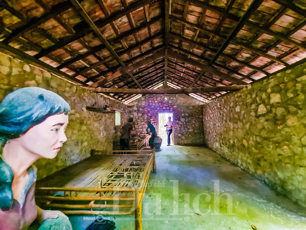 Rừng cao su trăm tuổi kể chuyện phận người ‘đi dễ khó về’ - 9