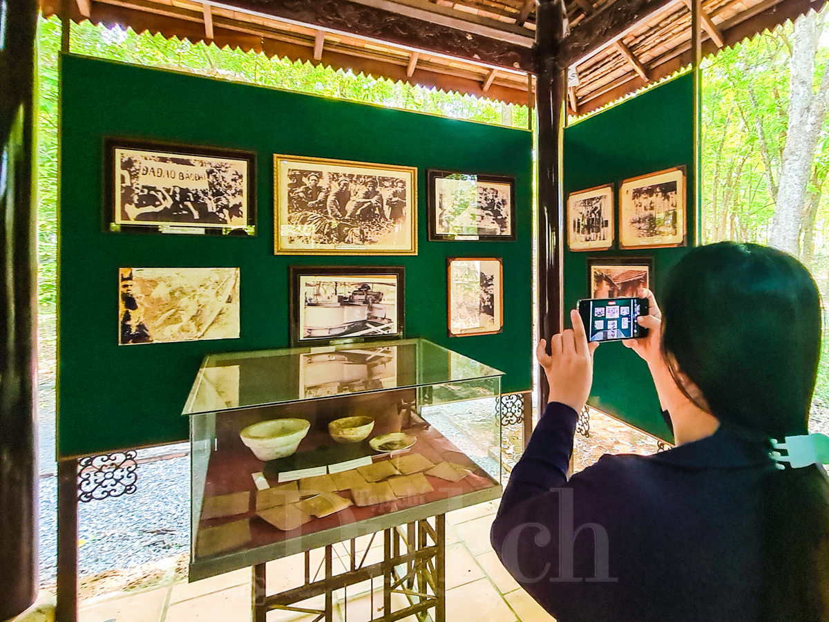 Rừng cao su trăm tuổi kể chuyện phận người ‘đi dễ khó về’ - 7