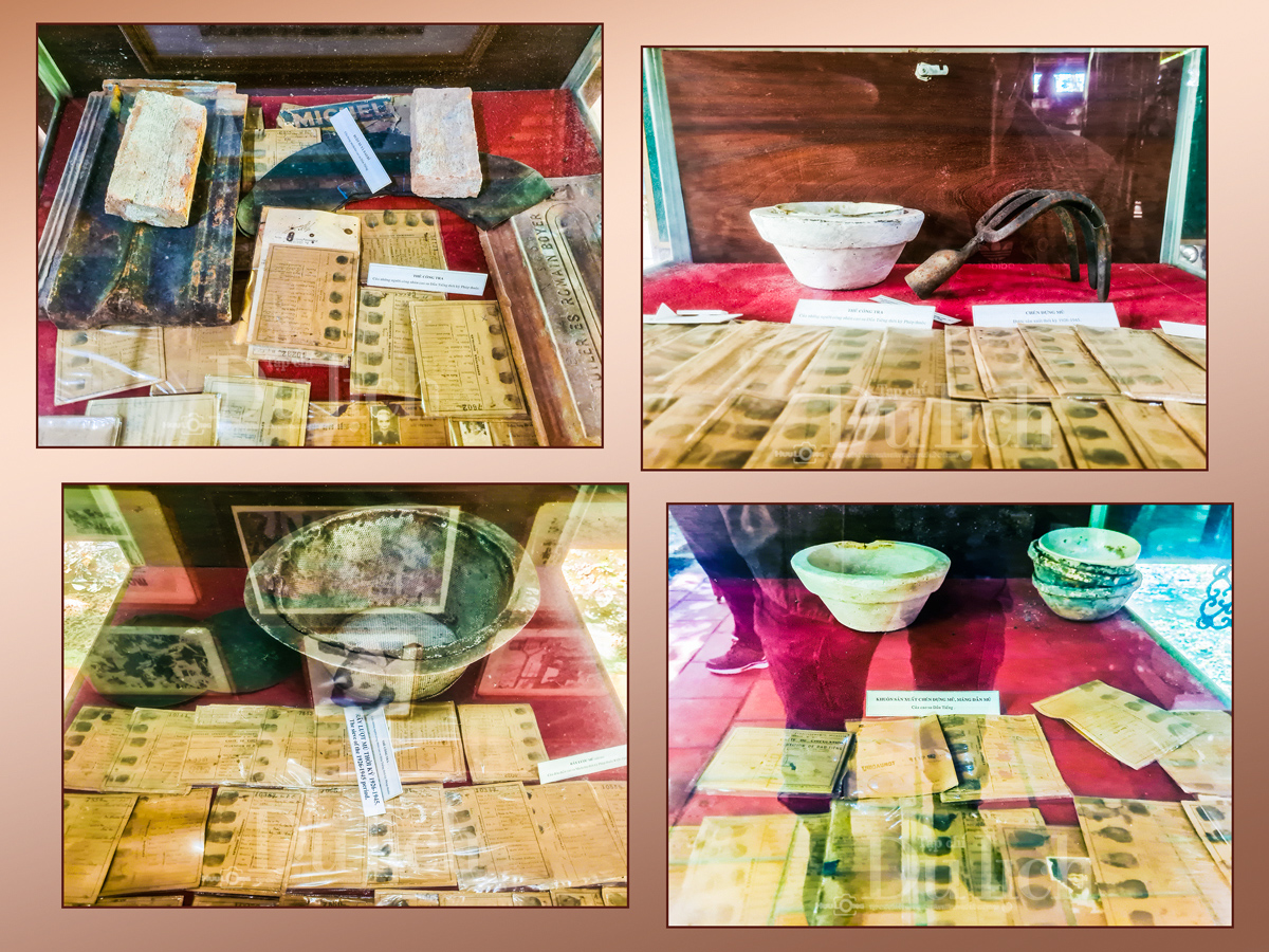 Rừng cao su trăm tuổi kể chuyện phận người ‘đi dễ khó về’ - 6