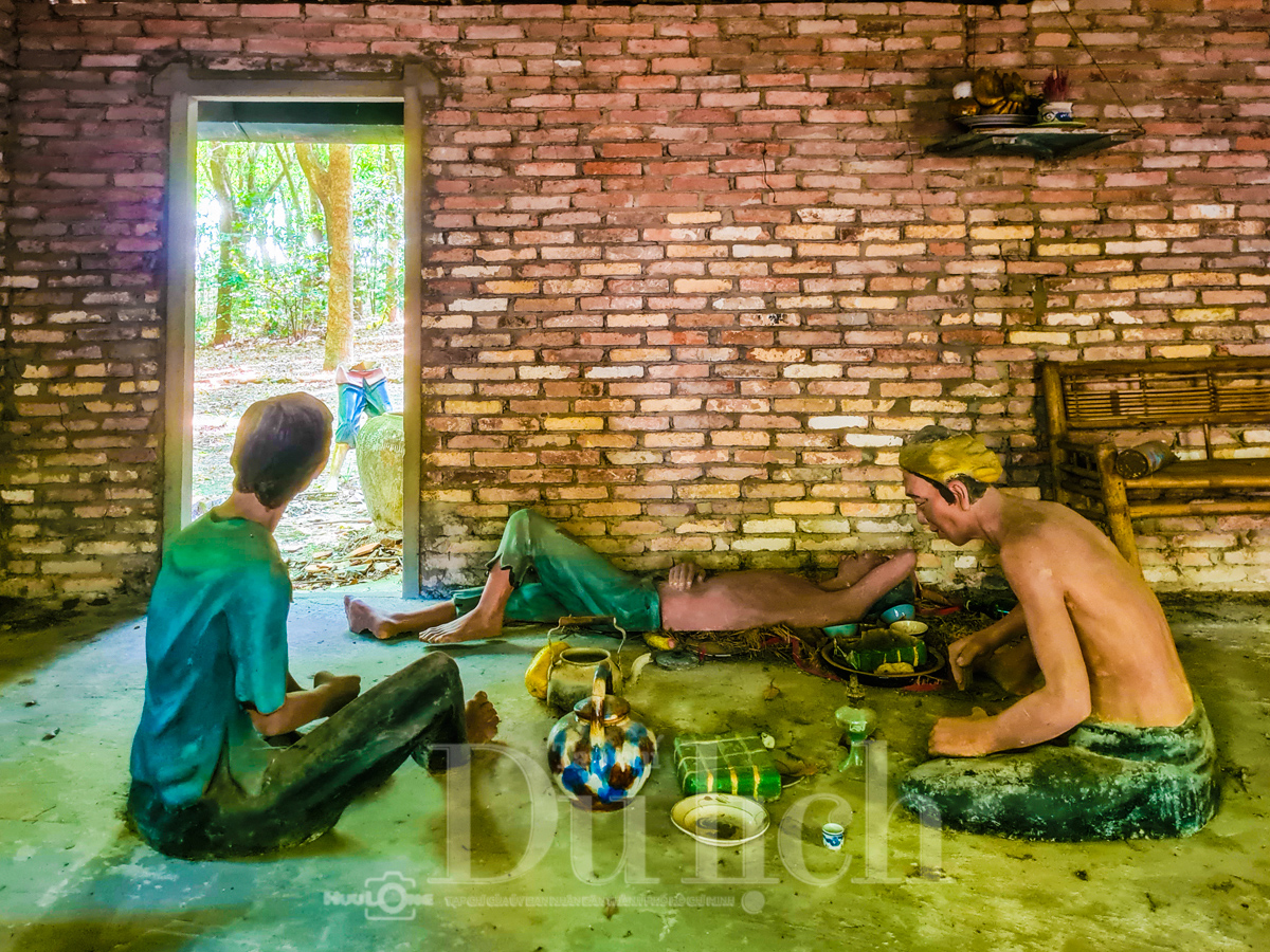 Rừng cao su trăm tuổi kể chuyện phận người ‘đi dễ khó về’ - 10