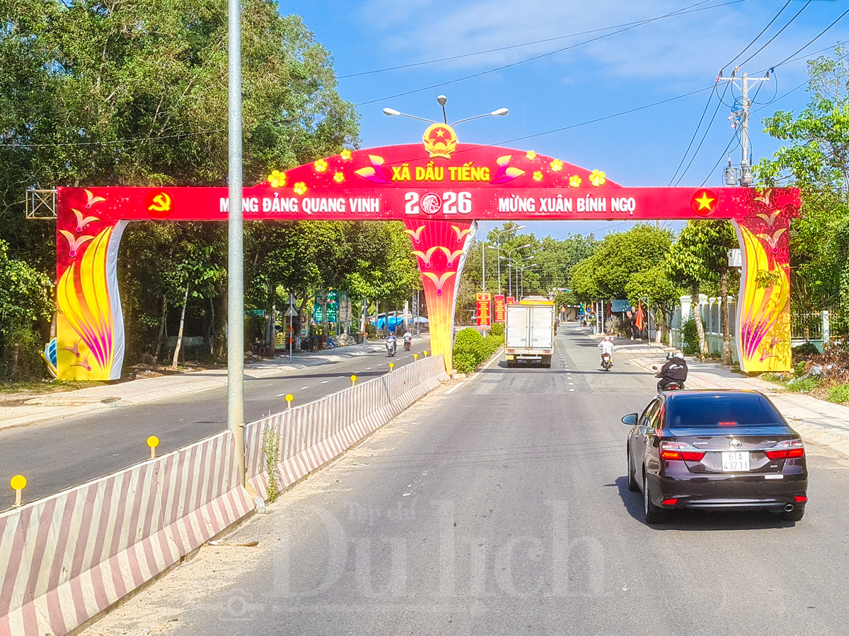 Rừng cao su trăm tuổi kể chuyện phận người ‘đi dễ khó về’ - 1