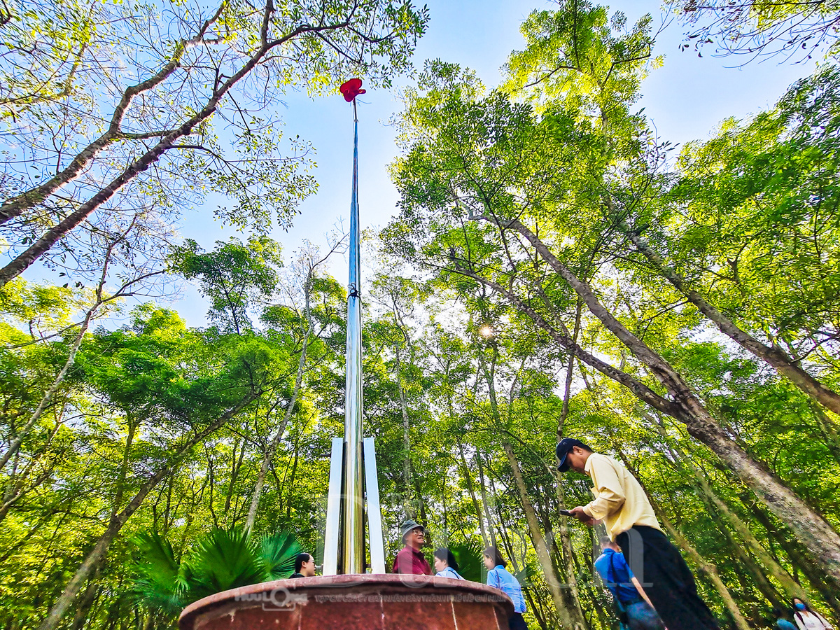 Rừng cao su trăm tuổi kể chuyện phận người ‘đi dễ khó về’ - 4