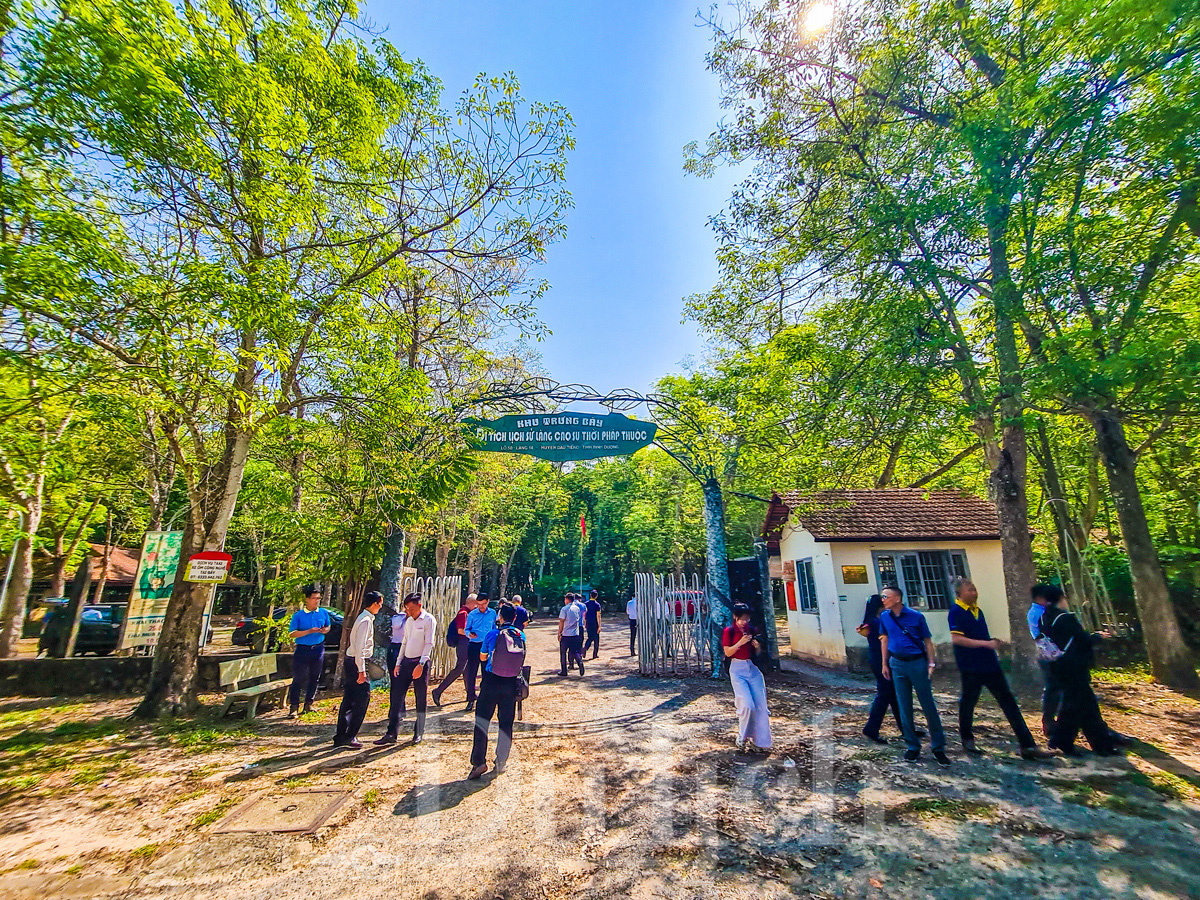 Rừng cao su trăm tuổi kể chuyện phận người ‘đi dễ khó về’ - 3