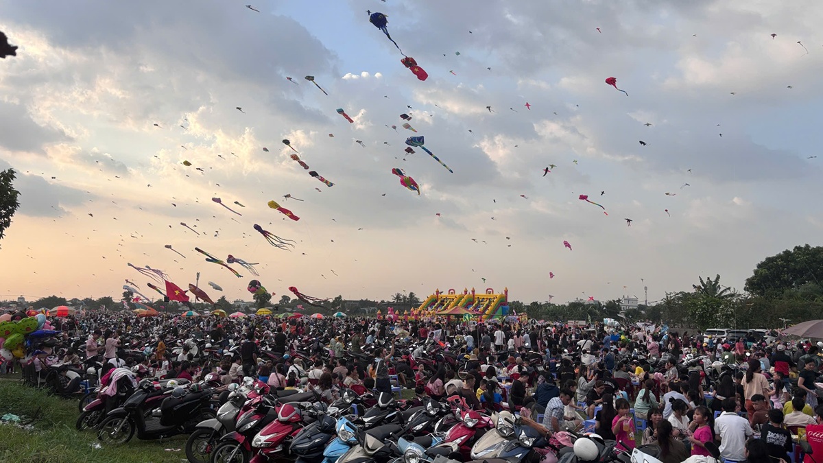 canh dong dieu ngoai o tp.hcm tap nap nguoi den vui choi - 1