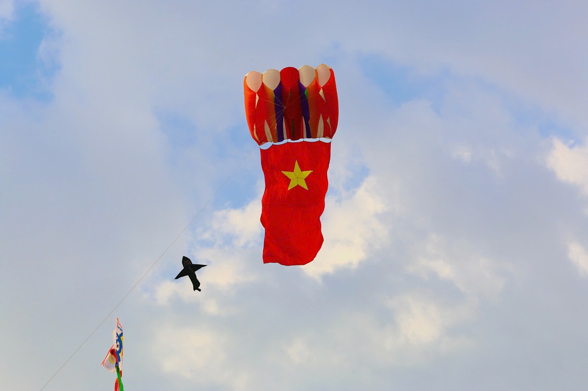 canh dong dieu ngoai o tp.hcm tap nap nguoi den vui choi - 7