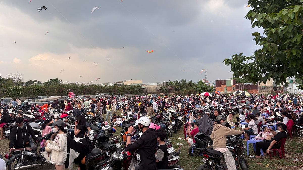 canh dong dieu ngoai o tp.hcm tap nap nguoi den vui choi - 9