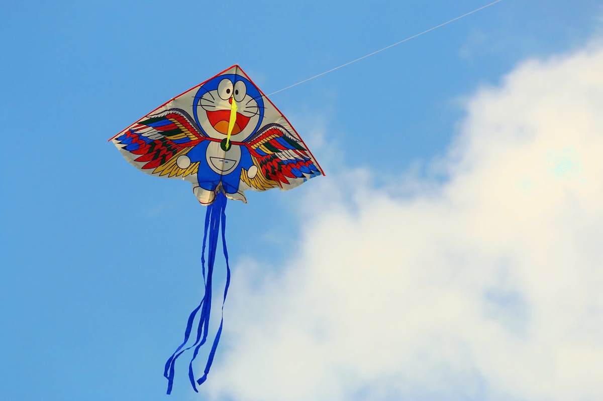 canh dong dieu ngoai o tp.hcm tap nap nguoi den vui choi - 6