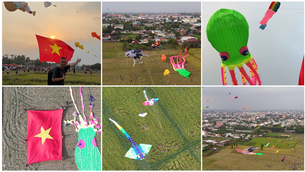 canh dong dieu ngoai o tp.hcm tap nap nguoi den vui choi - 13