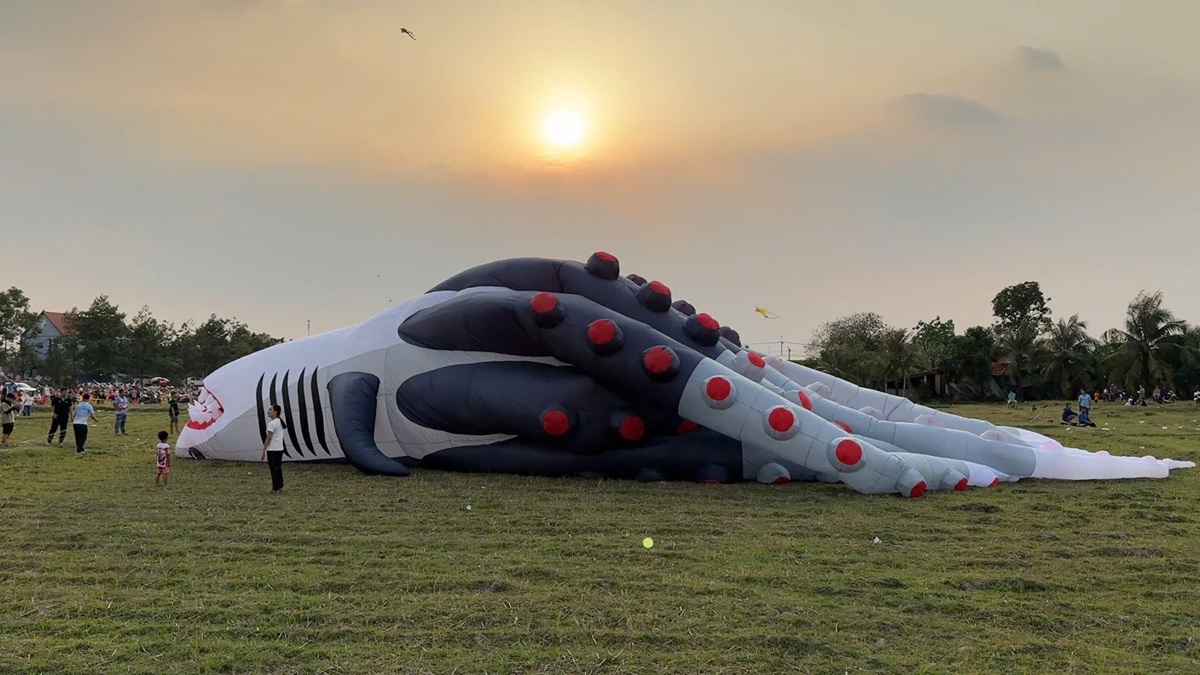 canh dong dieu ngoai o tp.hcm tap nap nguoi den vui choi - 11