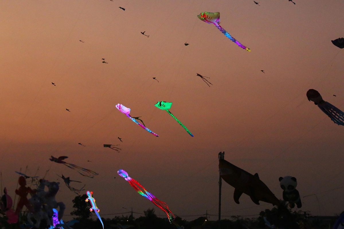 canh dong dieu ngoai o tp.hcm tap nap nguoi den vui choi - 16