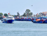 Chuyển động - Băn khoăn việc tăng giá vé tàu cao tốc tuyến Sa Kỳ- Lý Sơn và ngược lại