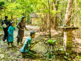 - Rừng cao su trăm tuổi kể chuyện phận người ‘đi dễ khó về’