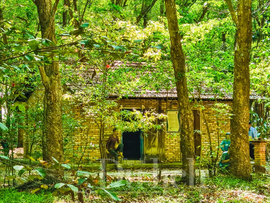 Rừng cao su trăm tuổi kể chuyện phận người ‘đi dễ khó về’ - 11