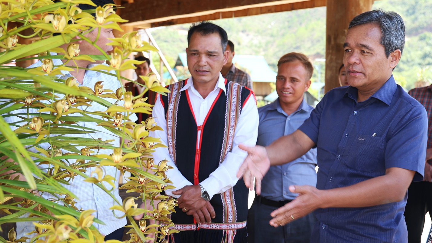 quang ngai phat trien du lich cong dong gan voi bao ton van hoa tao sinh ke cho nguoi dan - 12