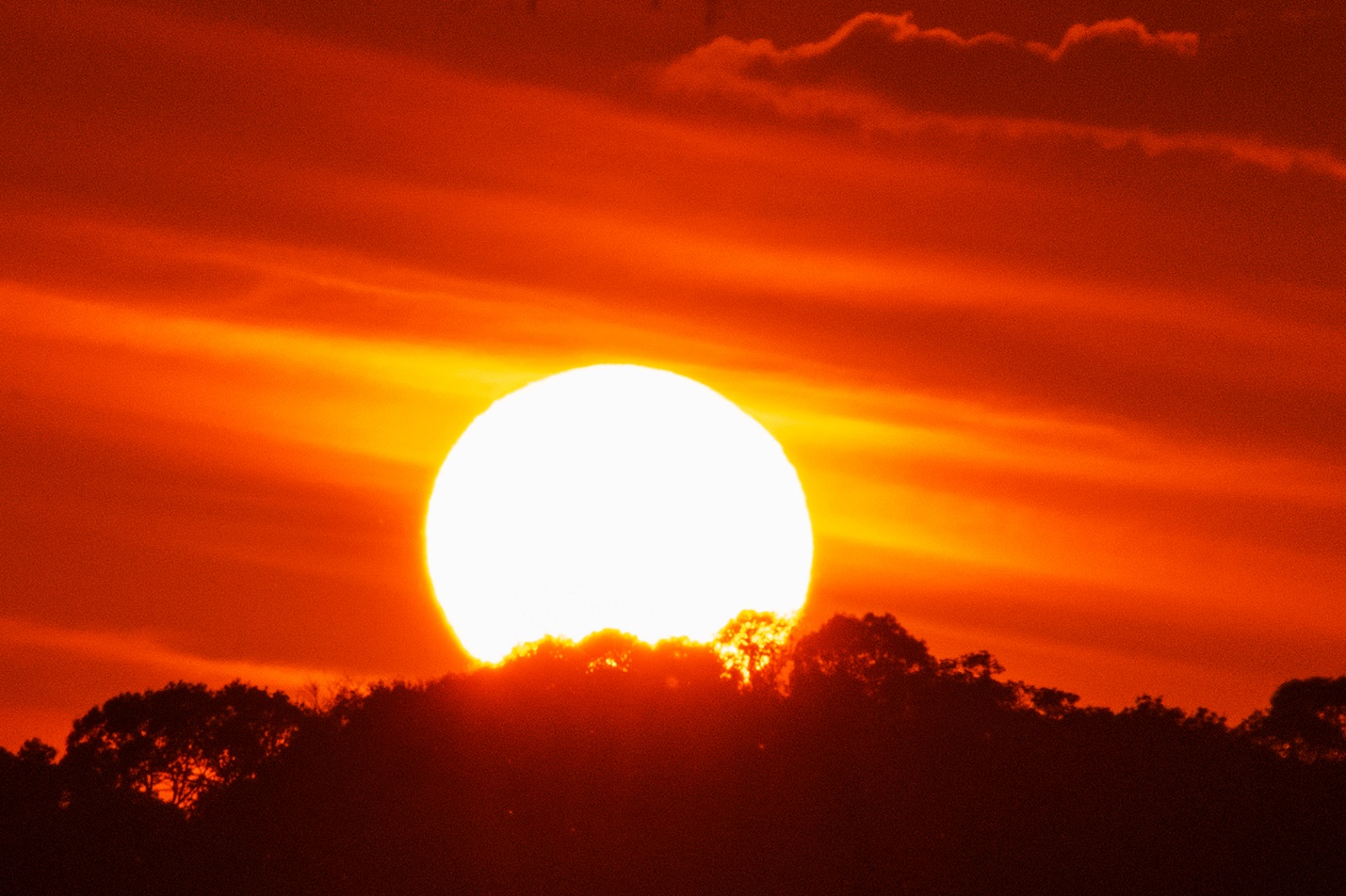 quang ngai phat trien du lich cong dong gan voi bao ton van hoa tao sinh ke cho nguoi dan - 14
