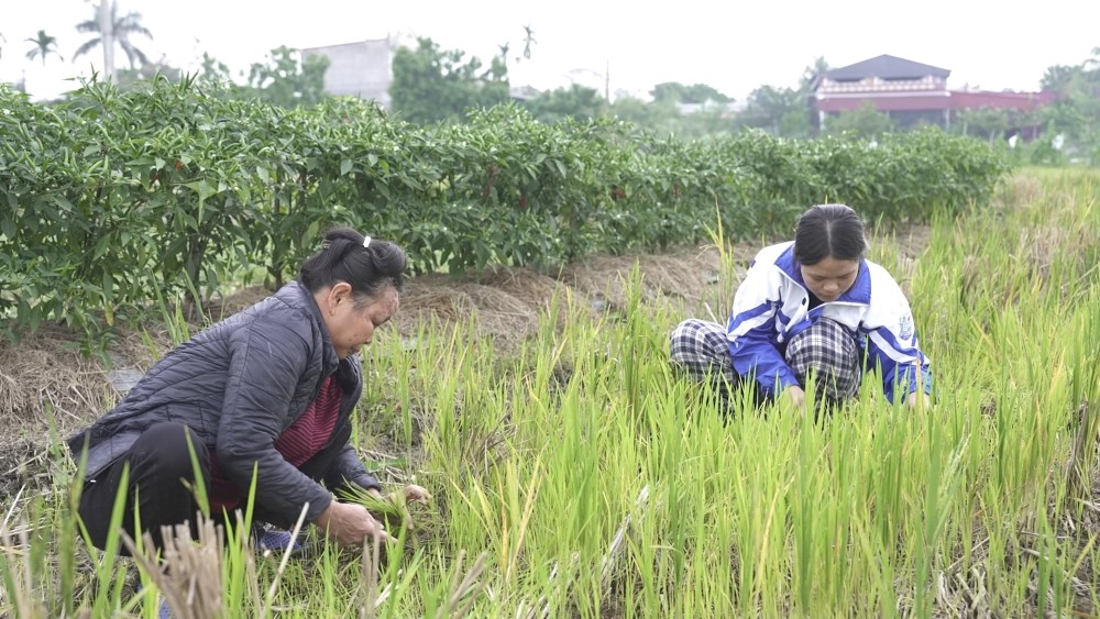 Minh Dự lần đầu làm MC Mái ấm gia đình Việt, nghẹn lòng trước những mảnh đời kém may mắn - 3