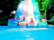 Chuyển động - TP.HCM yêu cầu rà soát trò chơi nước tại Suối Tiên, Đầm Sen