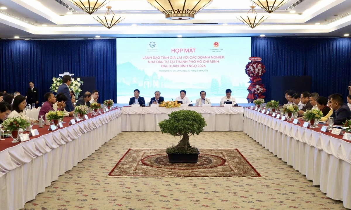 Kết nối TP.HCM, Gia Lai mở không gian phát triển, hút dòng vốn lớn - 2