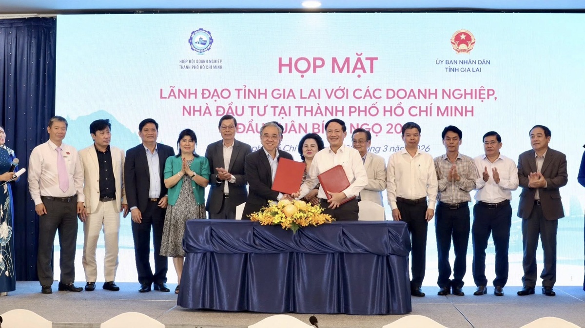 Kết nối TP.HCM, Gia Lai mở không gian phát triển, hút dòng vốn lớn - 5