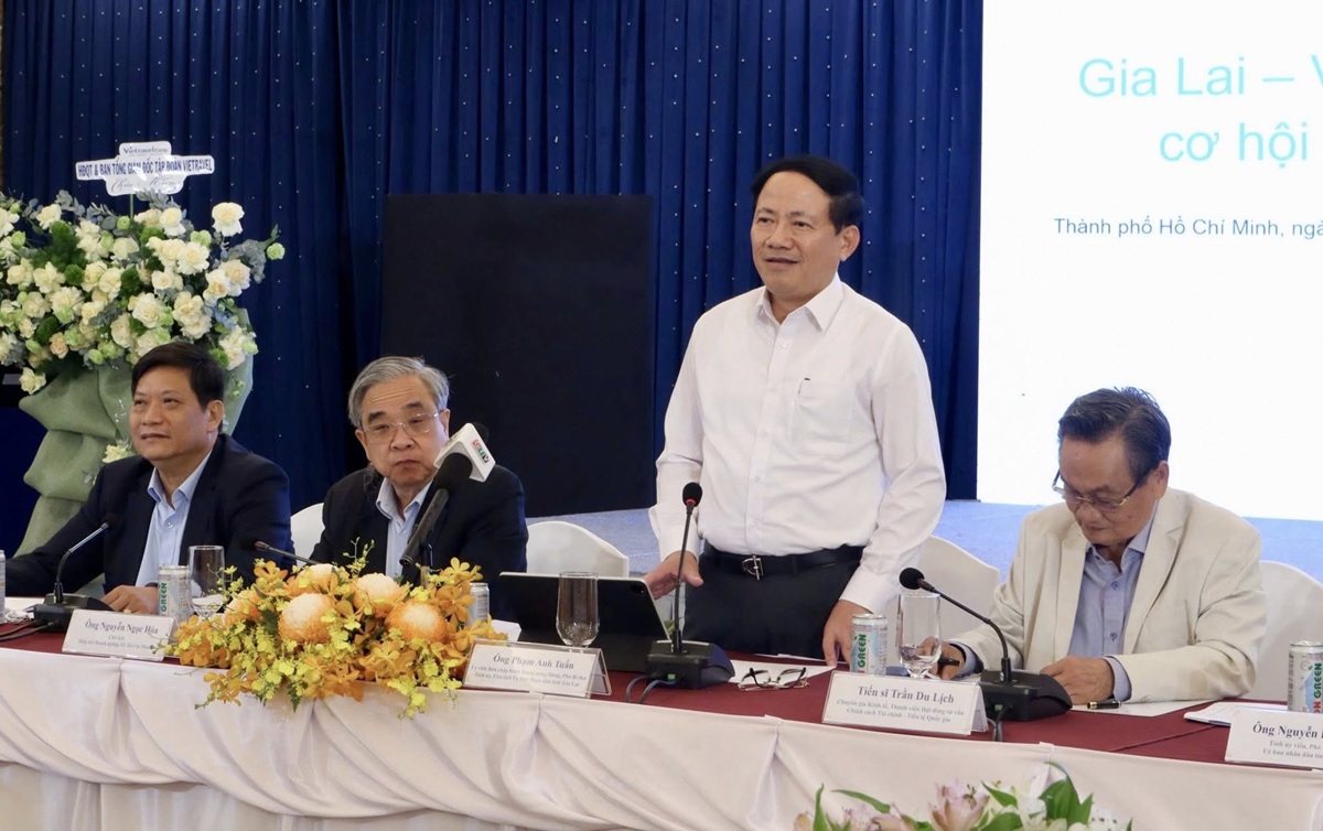 Kết nối TP.HCM, Gia Lai mở không gian phát triển, hút dòng vốn lớn - 3