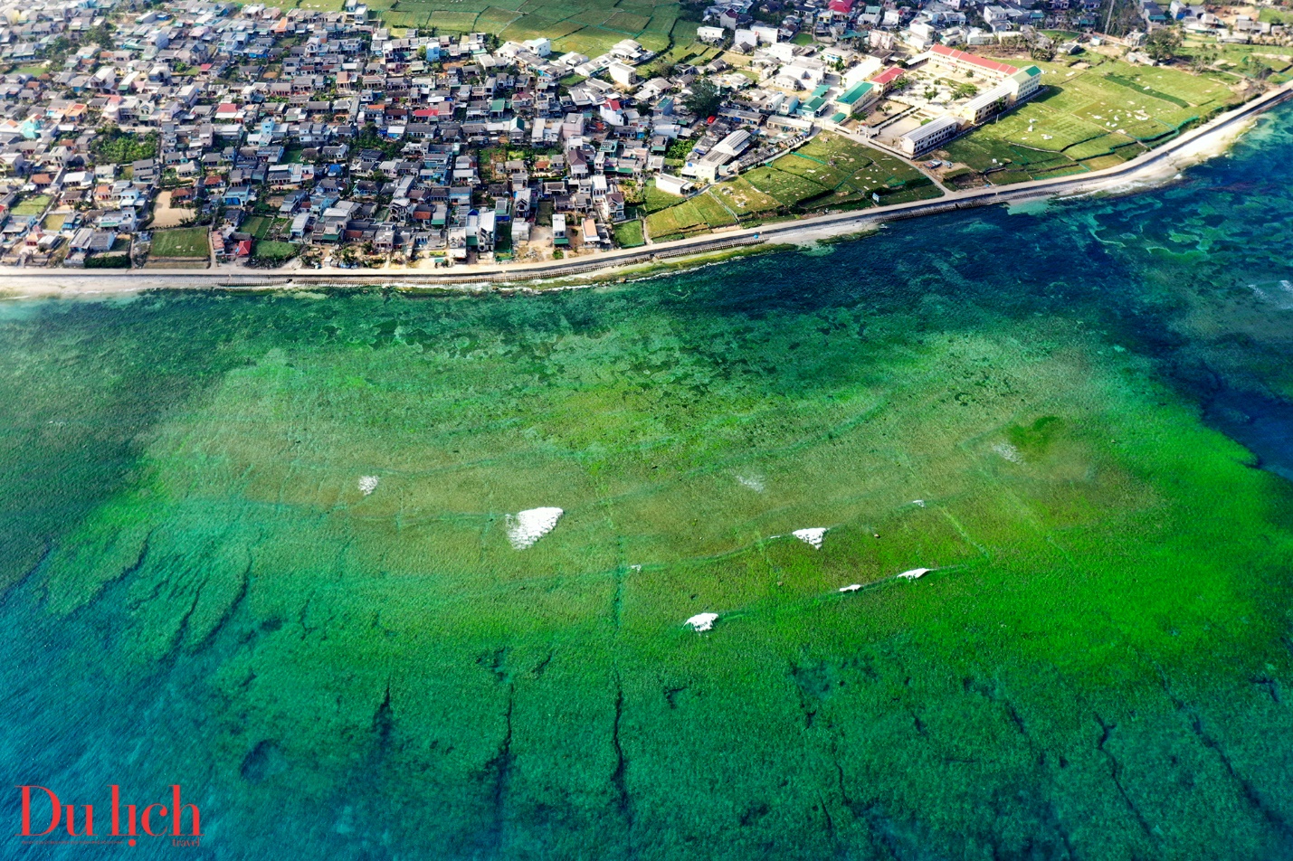 mua reu goi nho thuong giua trung khoi bien dao ly son - 3