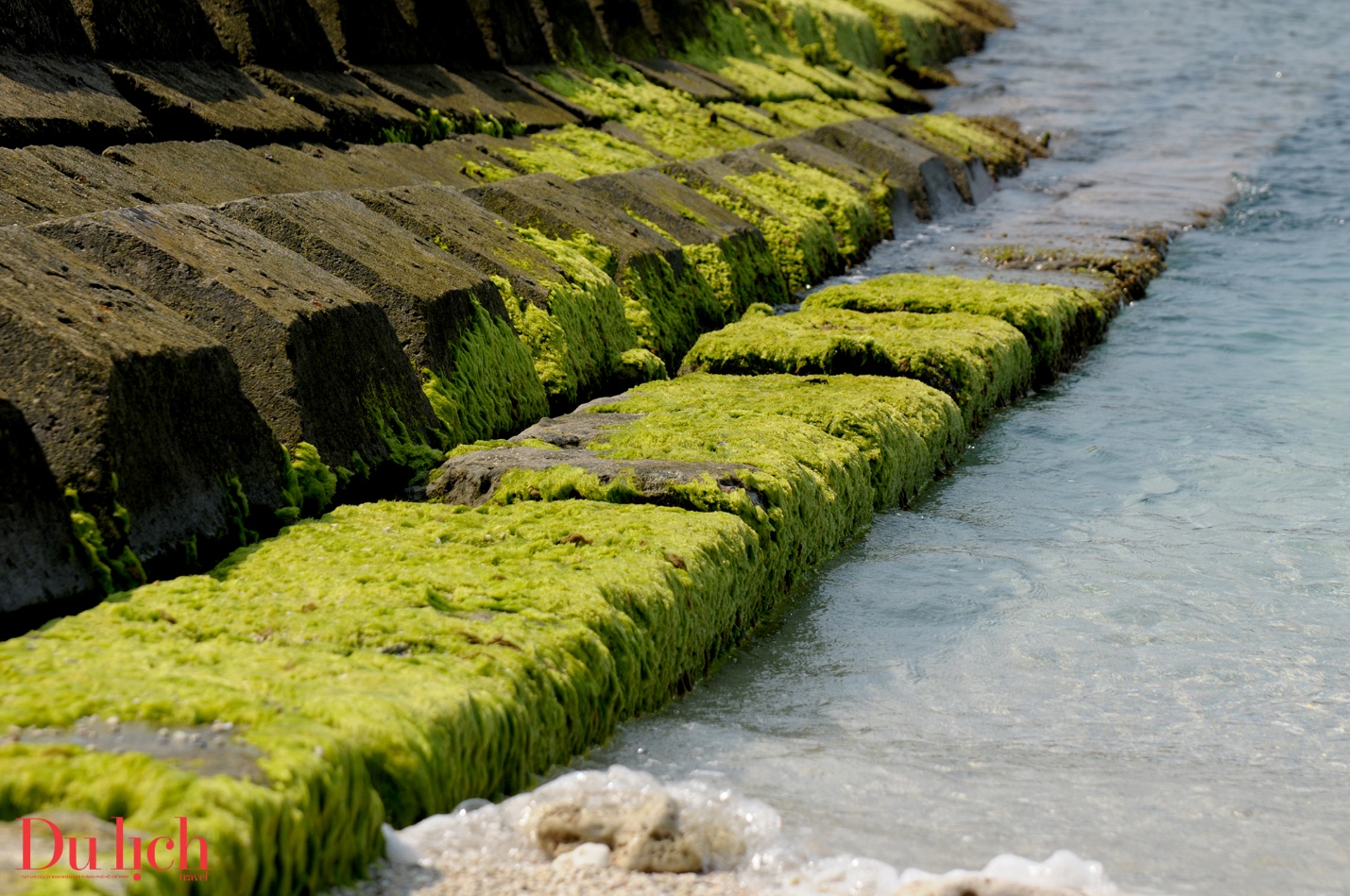 mua reu goi nho thuong giua trung khoi bien dao ly son - 17