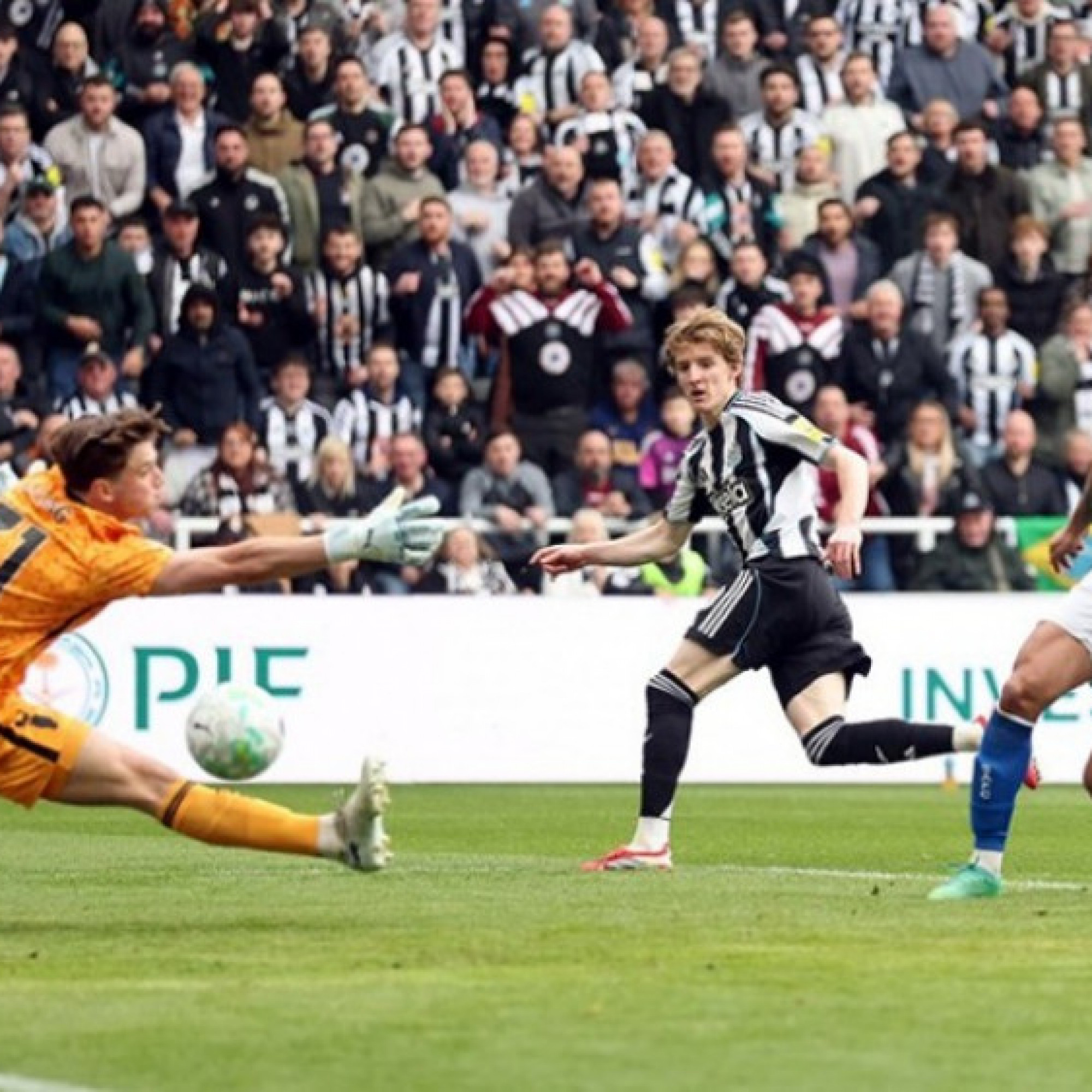  - Kết quả bóng đá Newcastle - Sunderland: Ngược dòng ngoạn mục (Ngoại hạng Anh)