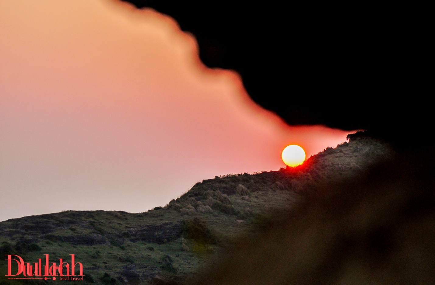 hoang hon ruc ro giua mau co to quoc thieng lieng o dao ly son - 10