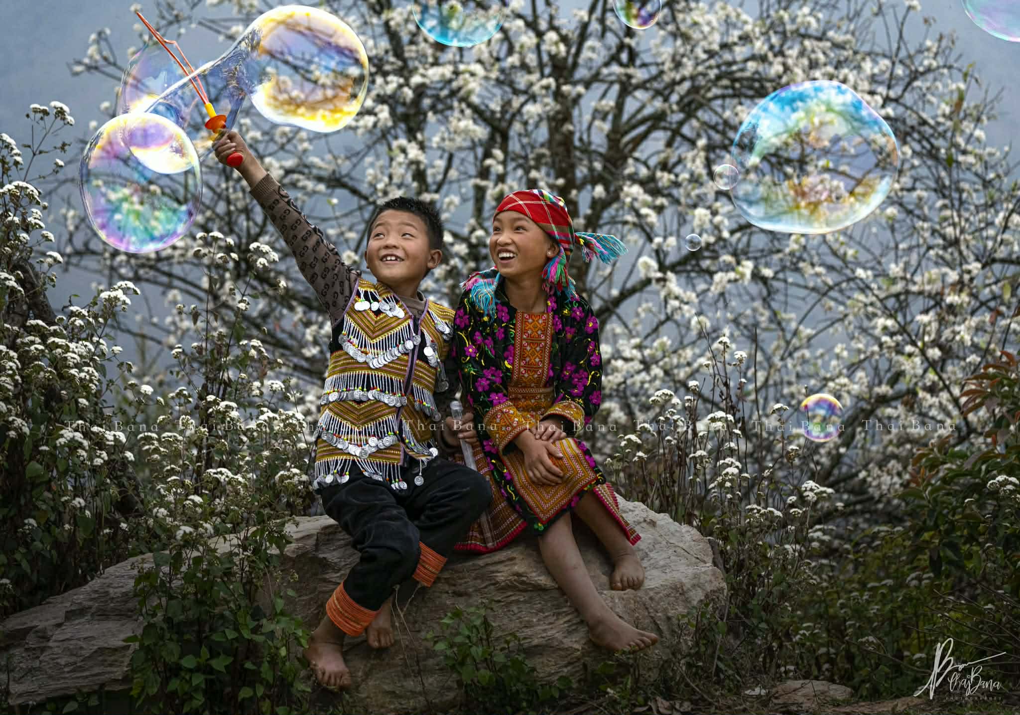 Bình yên mùa hoa sơn tra ở bản Nậm Nghiệp - 4