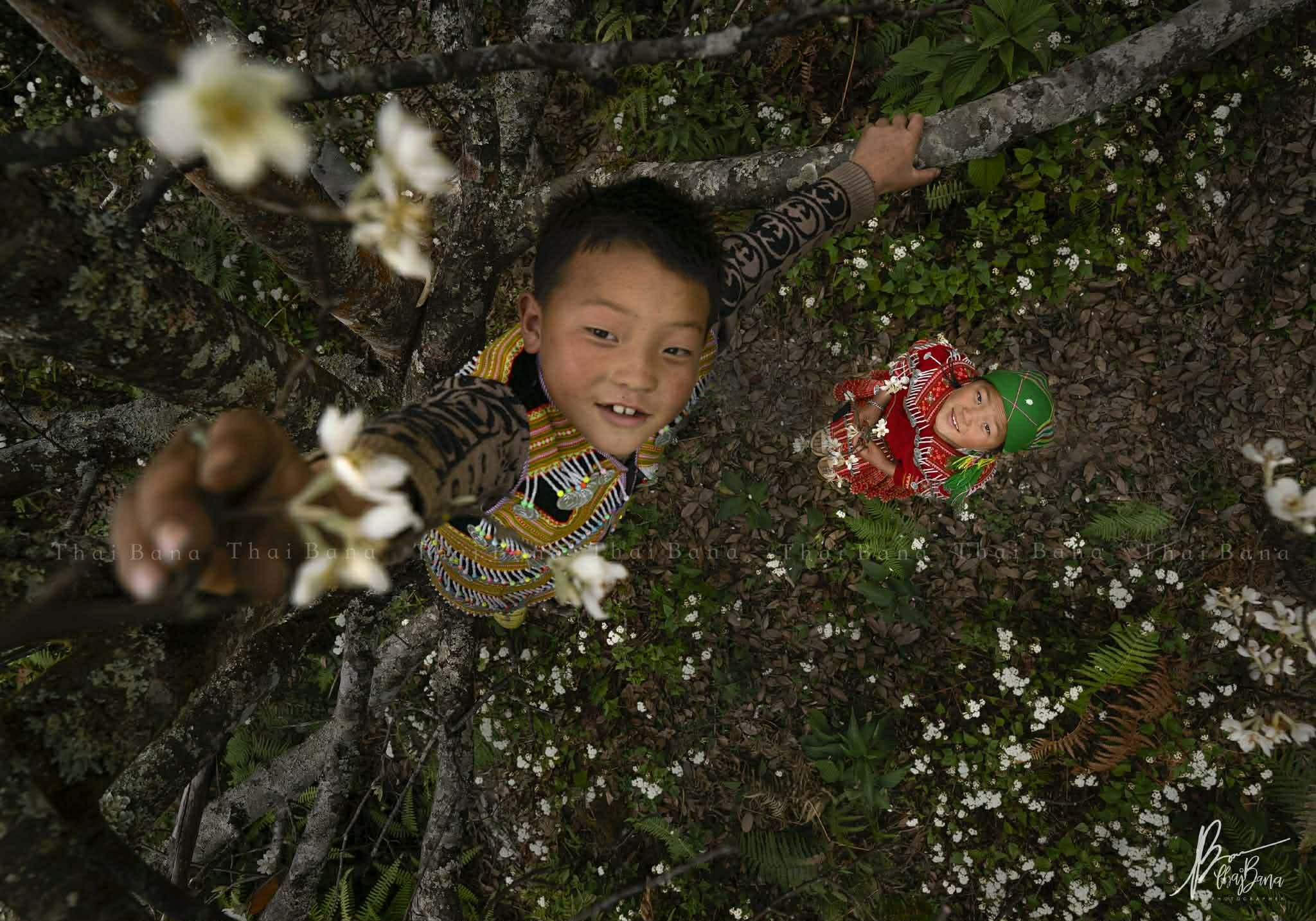 Bình yên mùa hoa sơn tra ở bản Nậm Nghiệp - 8