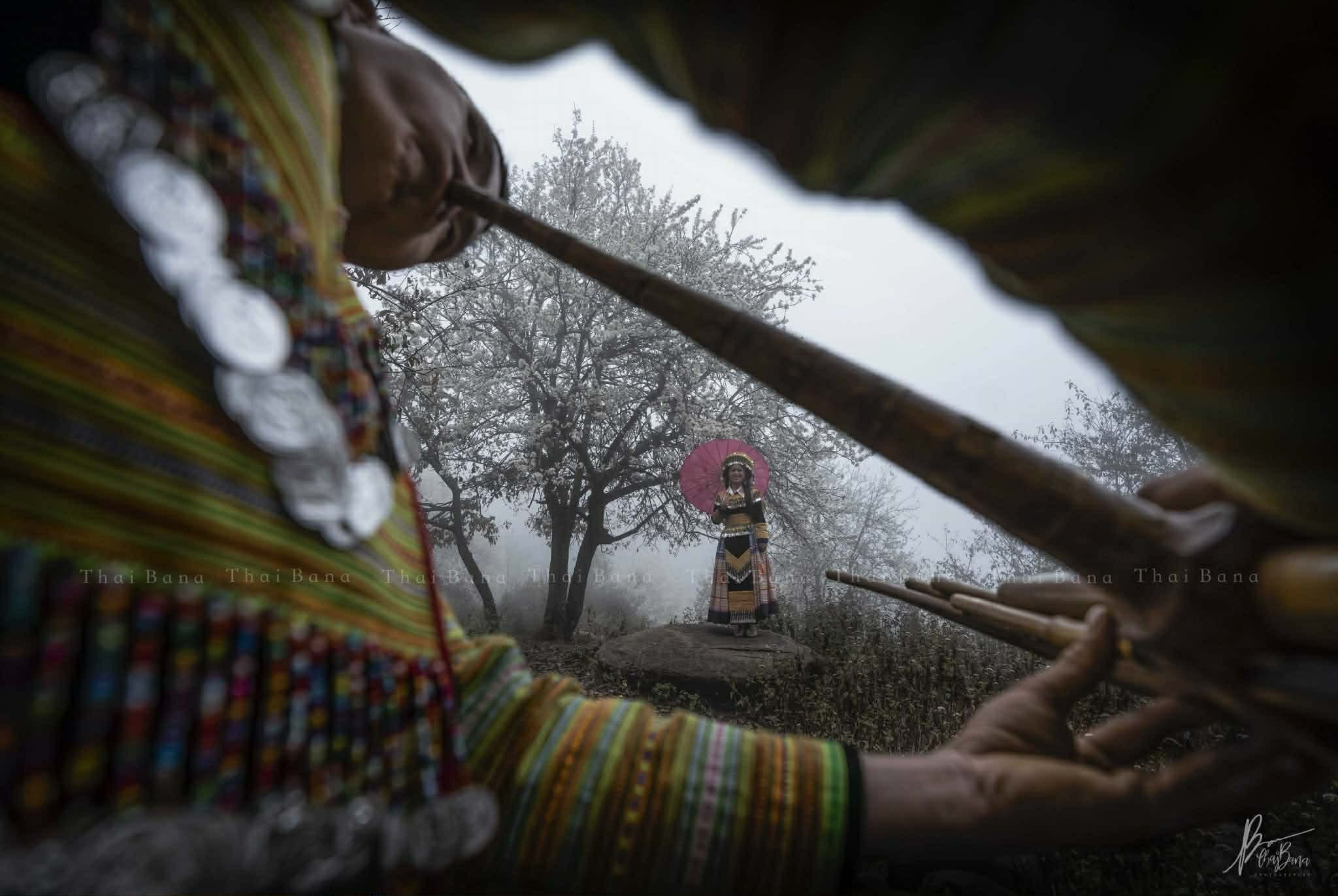 Bình yên mùa hoa sơn tra ở bản Nậm Nghiệp - 9