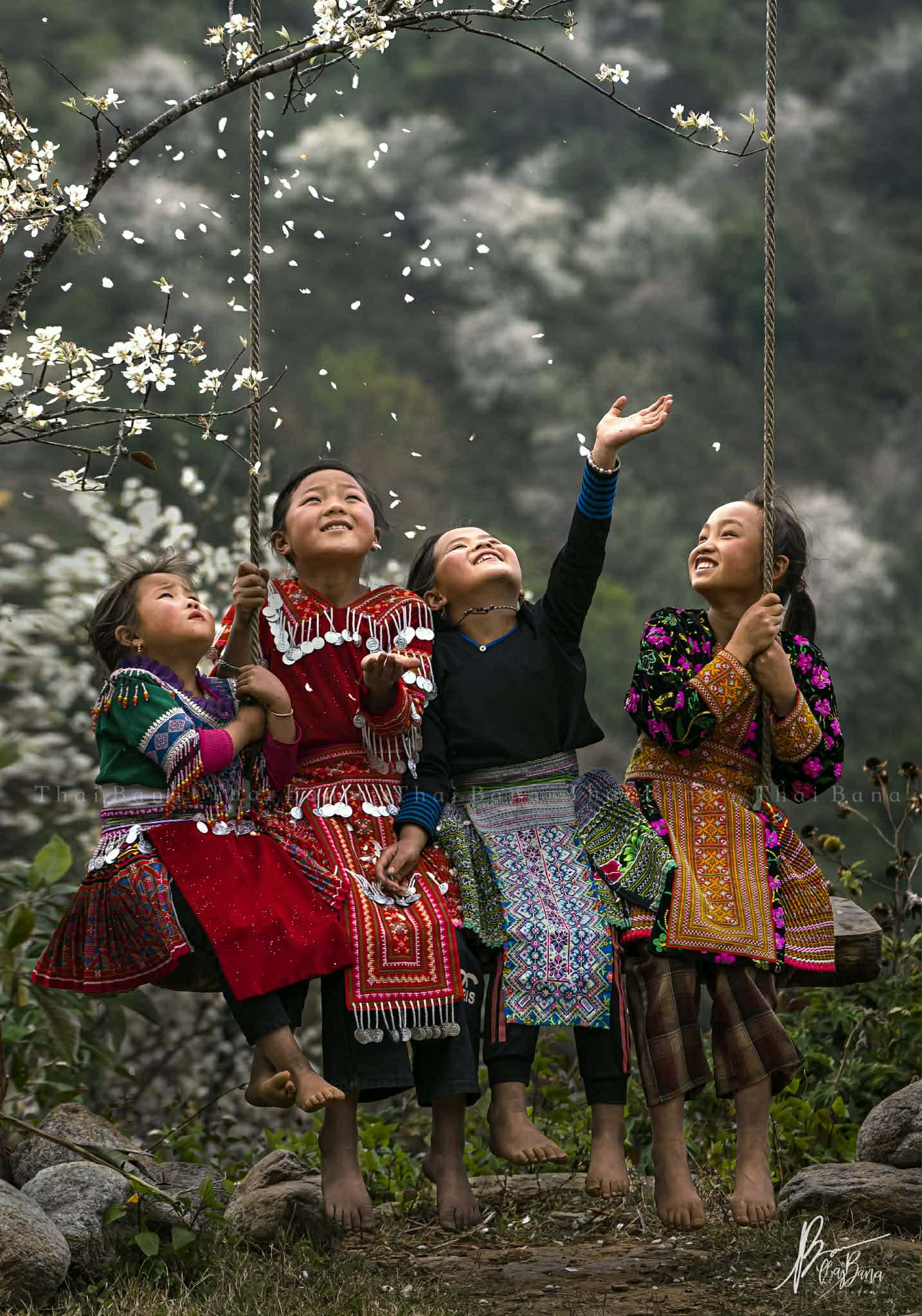 Bình yên mùa hoa sơn tra ở bản Nậm Nghiệp - 12