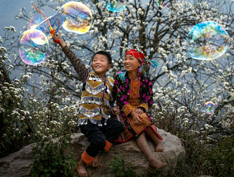 Bình yên mùa hoa sơn tra ở bản Nậm Nghiệp