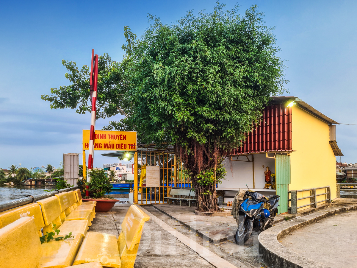 ​Huyền thoại Dinh thuyền ngã ba sông Chợ Đệm: Điểm tựa tâm linh và hào khí Vành đai lửa kiên cường - 4