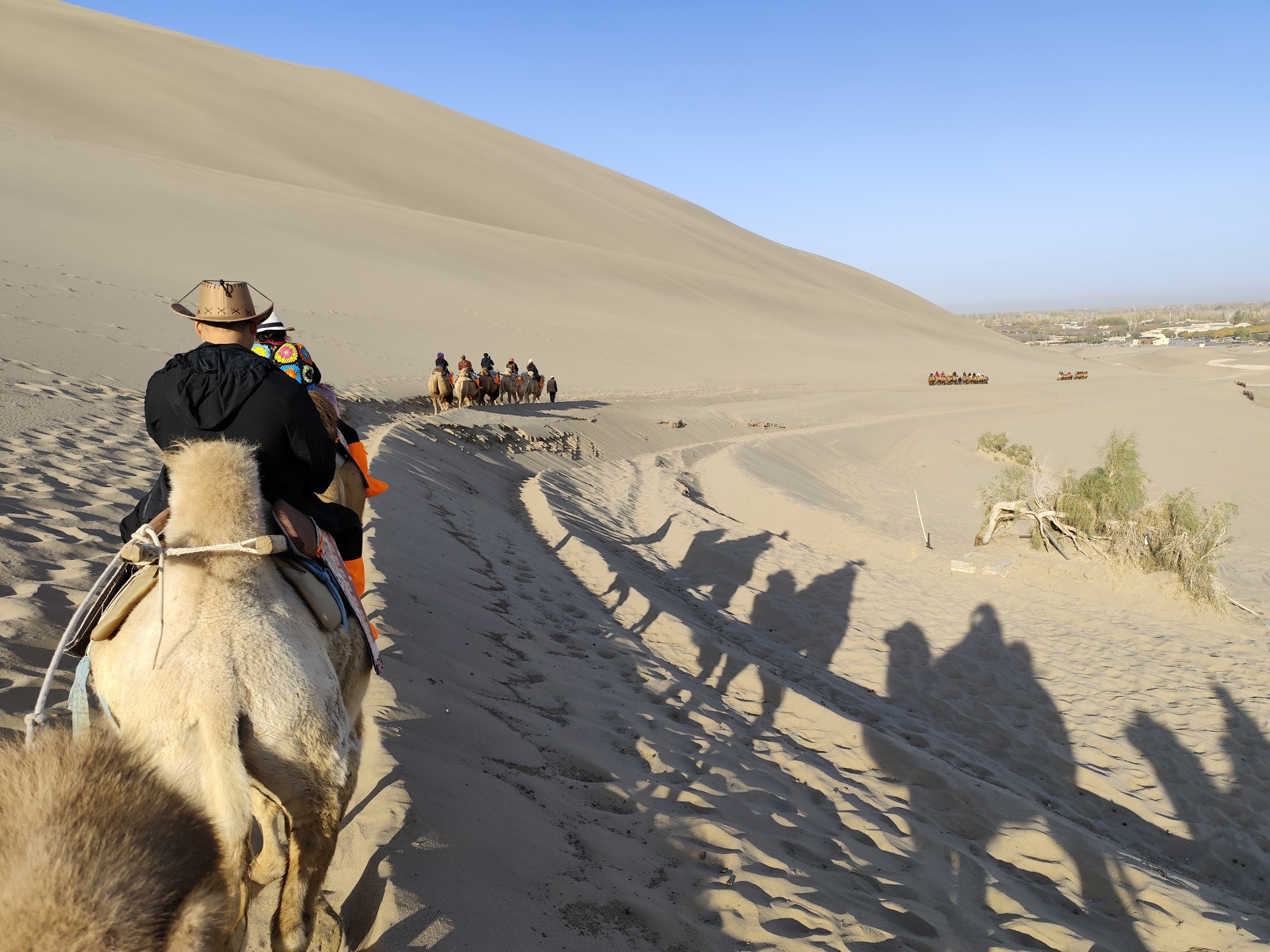 Cát vẫn di chuyển dưới chân những kẻ đi tìm dấu người xưa - 1