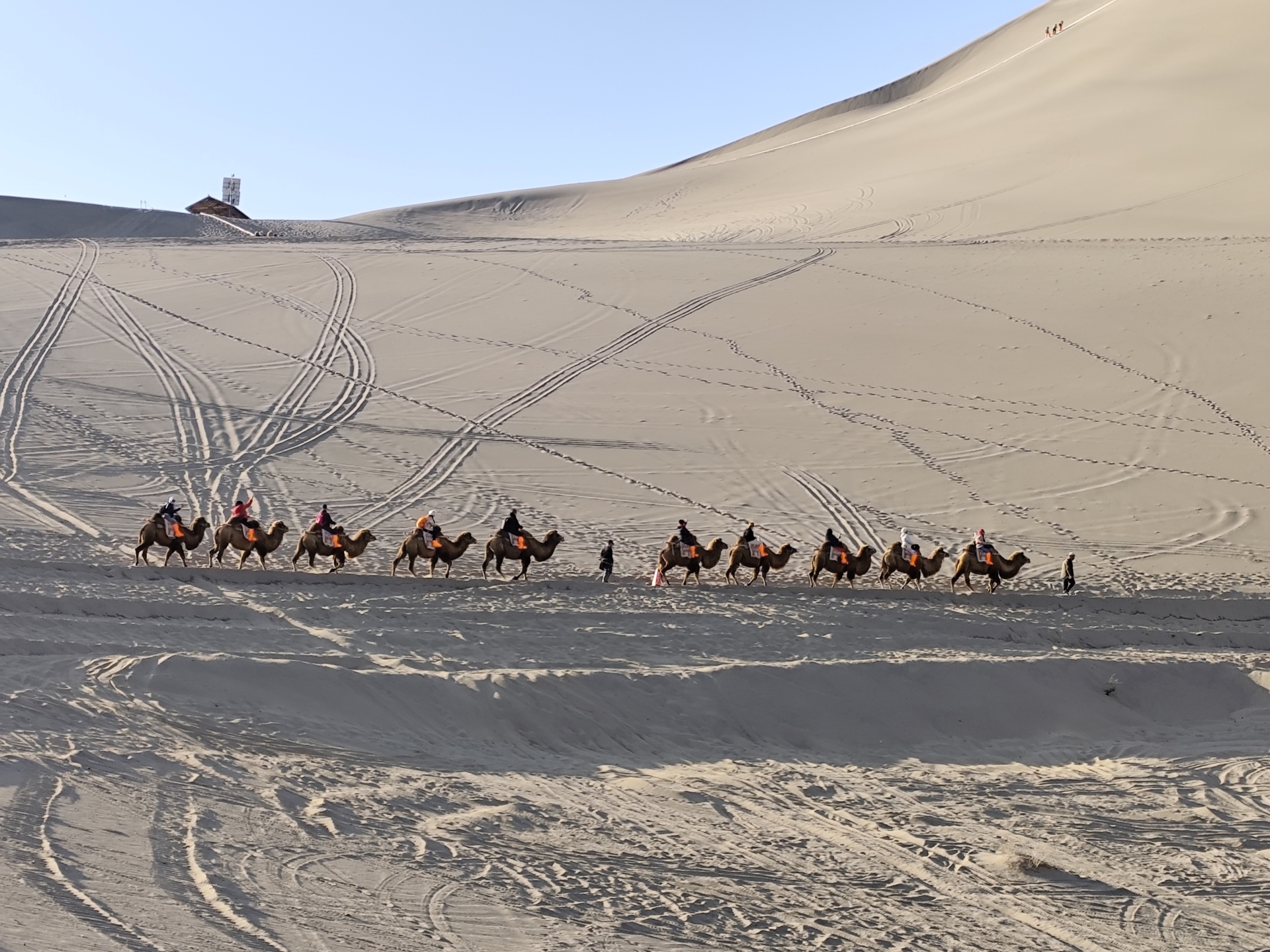 Cát vẫn di chuyển dưới chân những kẻ đi tìm dấu người xưa - 3