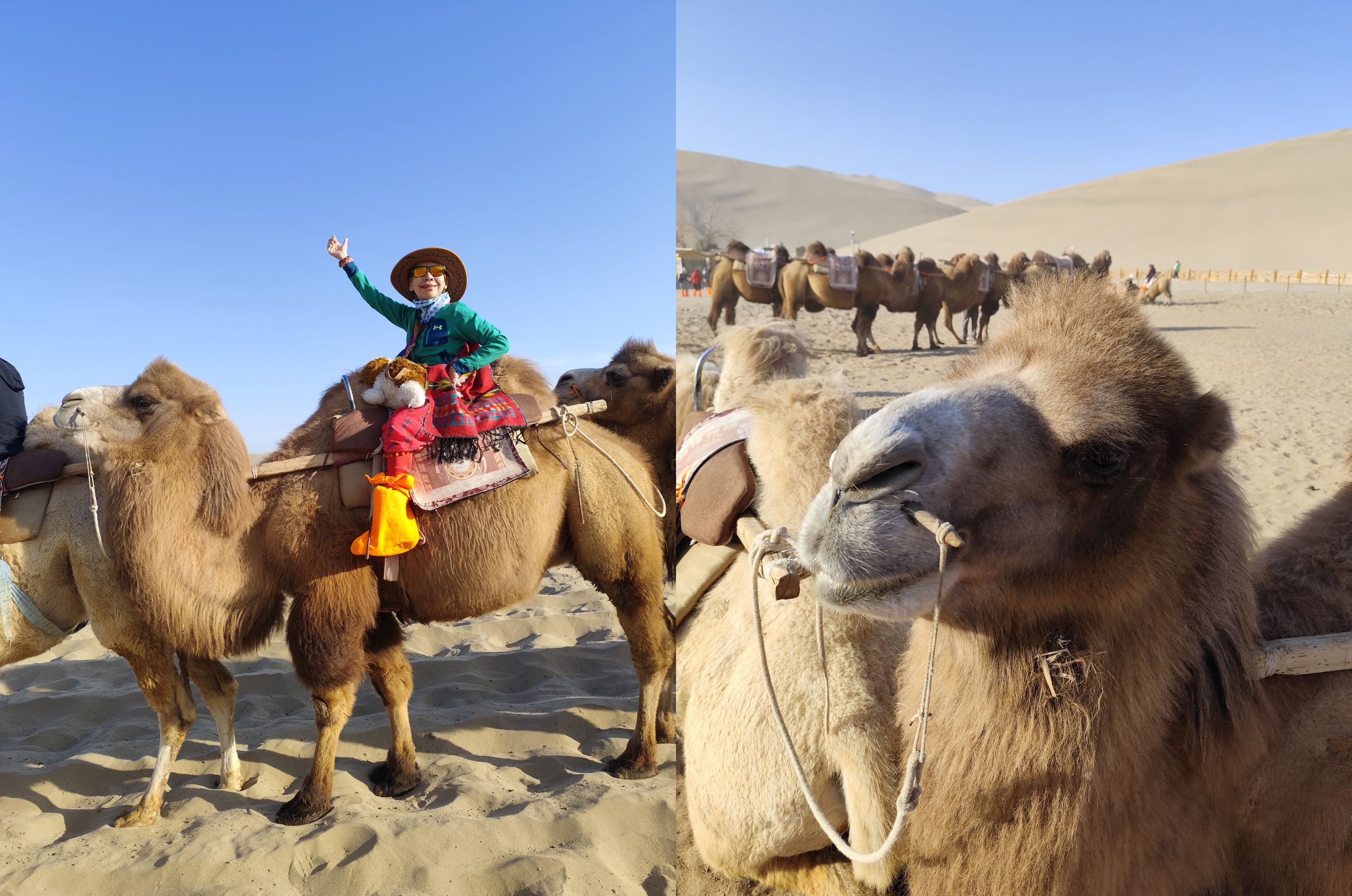 Cát vẫn di chuyển dưới chân những kẻ đi tìm dấu người xưa - 4