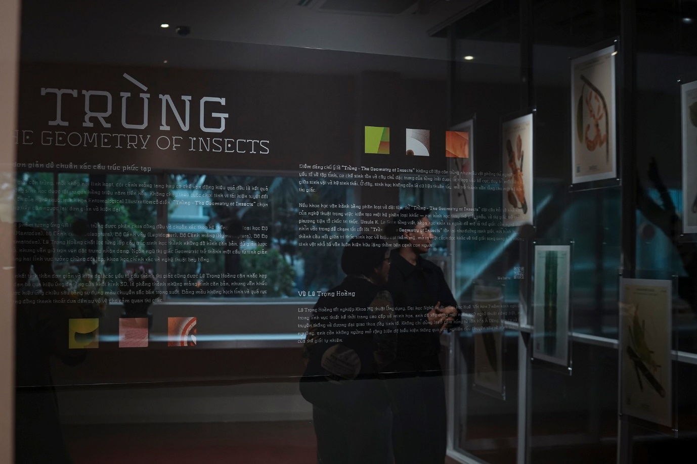 Đến triển lãm Trùng, ngắm thế giới côn trùng - 4