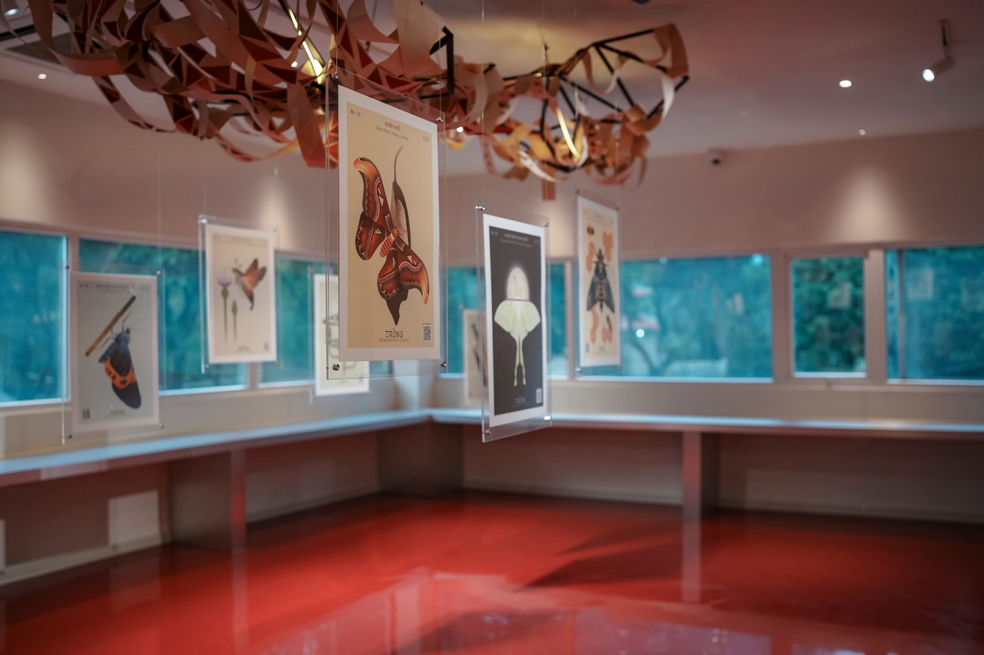 Đến triển lãm Trùng, ngắm thế giới côn trùng - 3