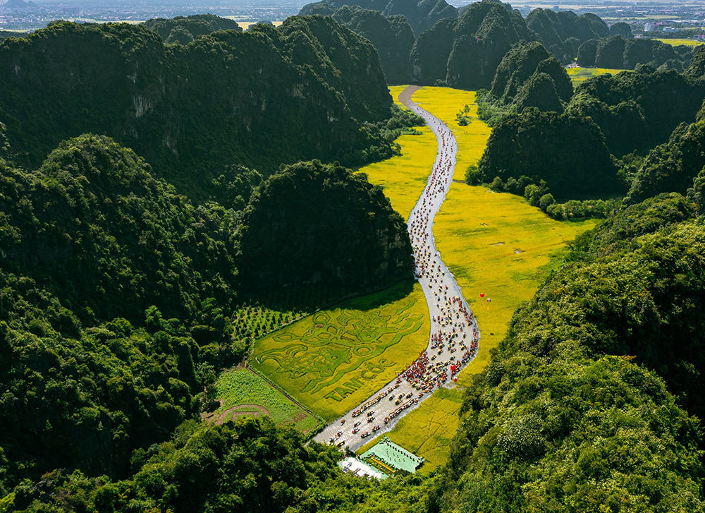 Ngựa khổng lồ xuất hiện trên cánh đồng lúa đẹp bậc nhất Việt Nam - 2