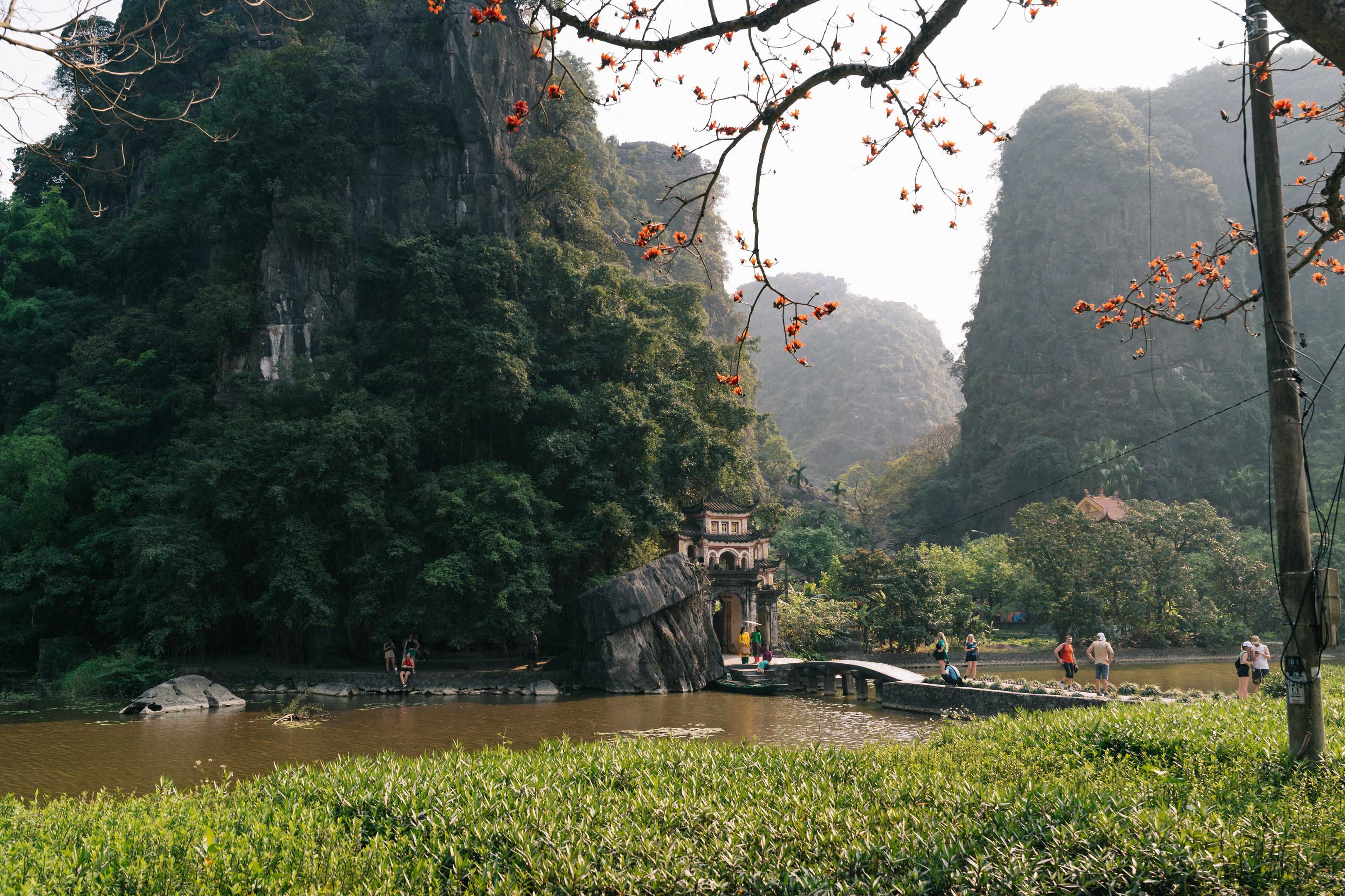 Ngựa khổng lồ xuất hiện trên cánh đồng lúa đẹp bậc nhất Việt Nam - 3