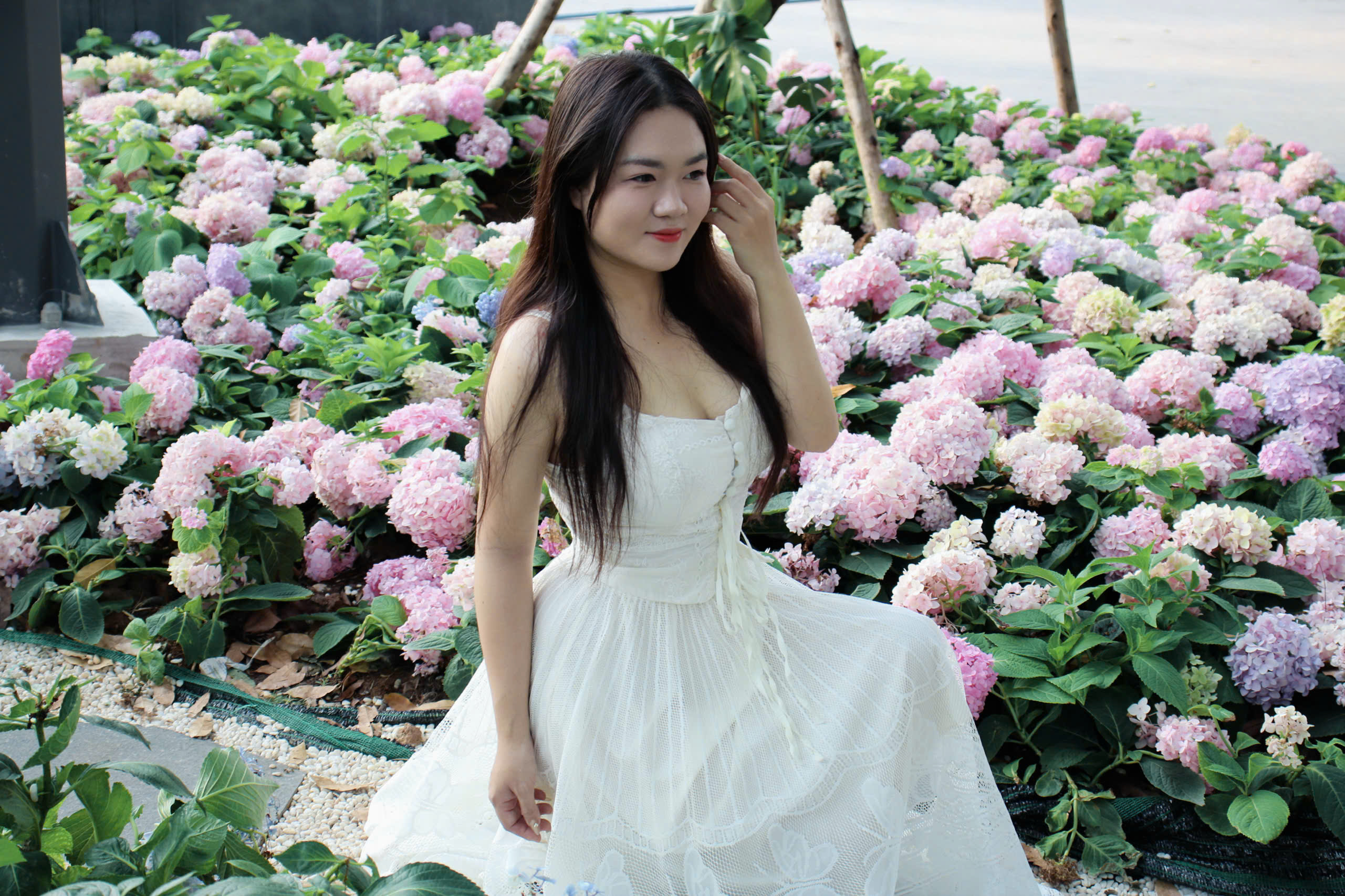 vuon cam tu cau trong cong vien 'gay thuong nho' giua long tp.hcm - 7