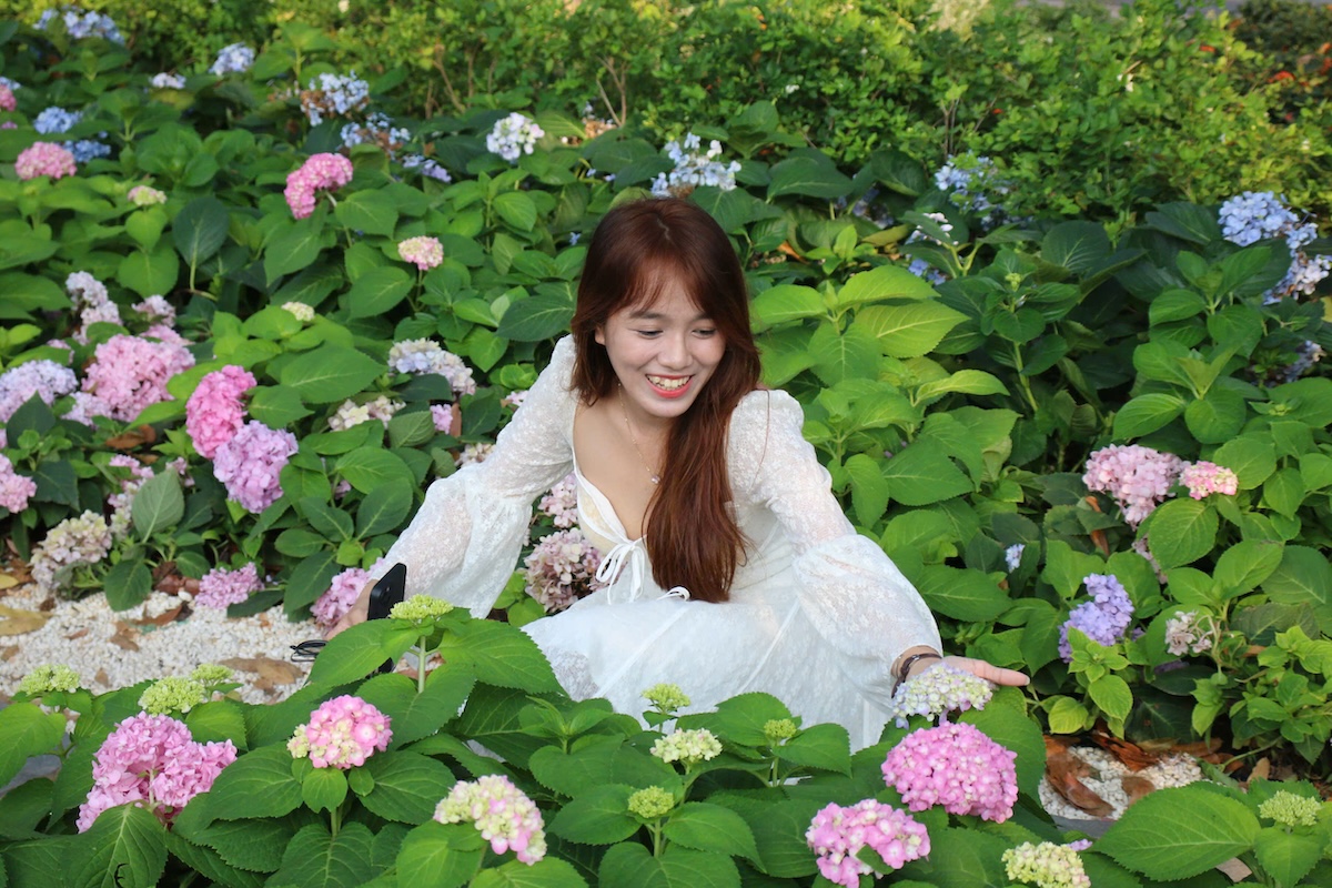 vuon cam tu cau trong cong vien 'gay thuong nho' giua long tp.hcm - 1