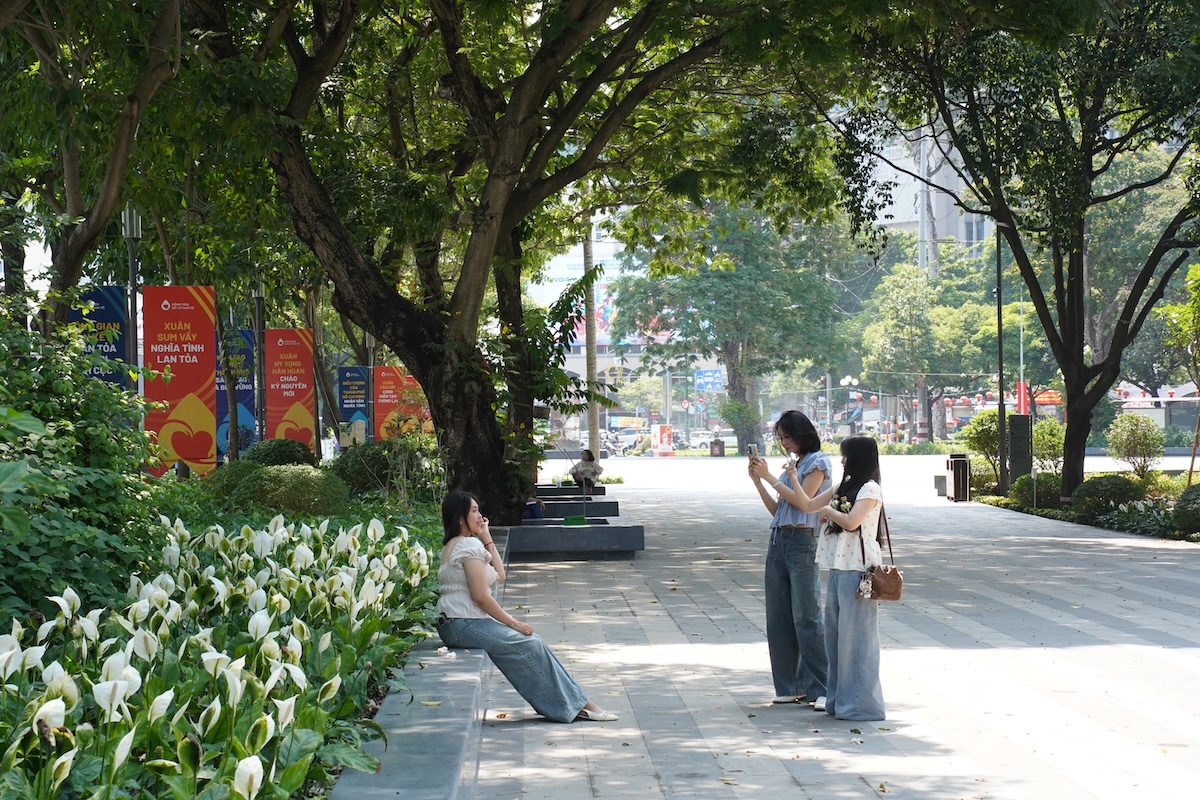 vuon cam tu cau trong cong vien 'gay thuong nho' giua long tp.hcm - 11