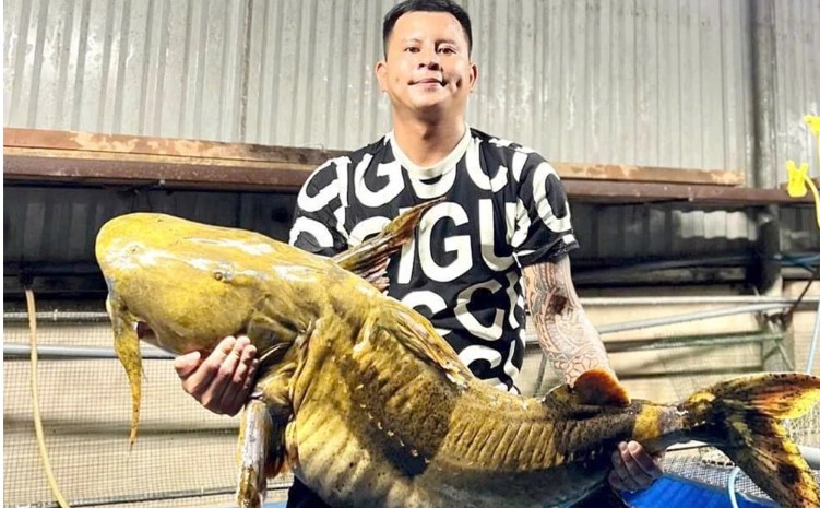 Bất chấp nguy hiểm để đi săn loài cá 'quý như báu vật' của sông Đà - 3