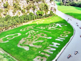  - Ngựa khổng lồ xuất hiện trên cánh đồng lúa đẹp bậc nhất Việt Nam