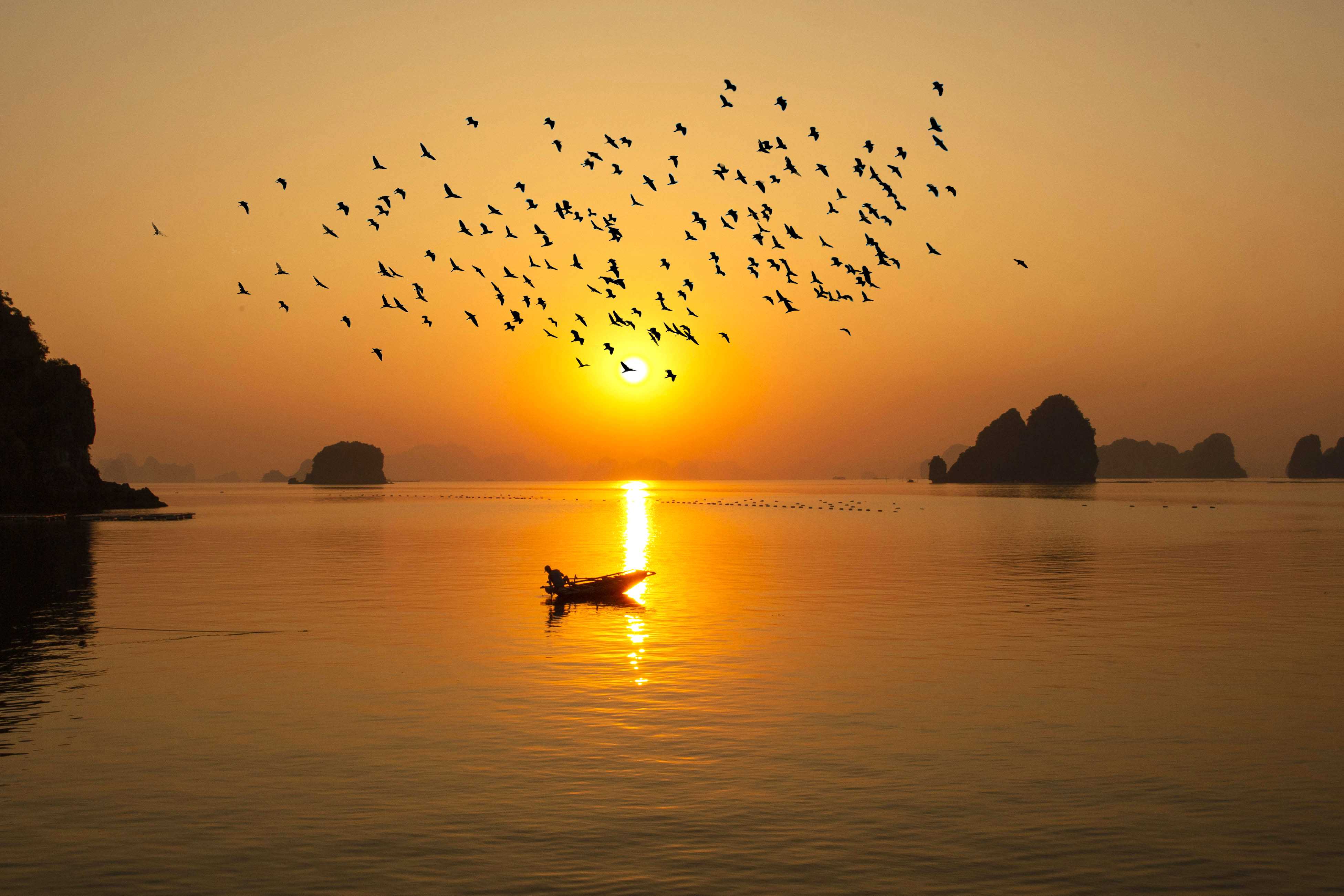 Việt Nam trên bản đồ du lịch “tránh đông” của Đông Nam Á - 3