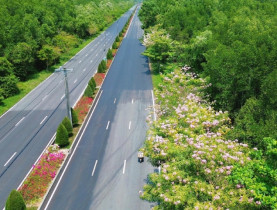  - Giải marathon 'chạm biển - xuyên rừng' lần đầu tổ chức tại Cần Giờ