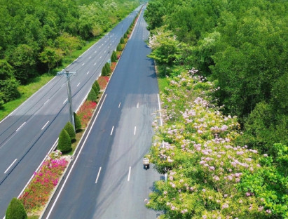  - Giải marathon 'chạm biển - xuyên rừng' lần đầu tổ chức tại Cần Giờ