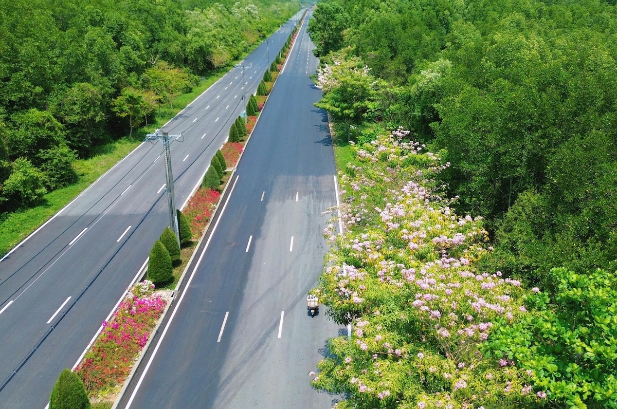 Giải marathon 'chạm biển - xuyên rừng' lần đầu tổ chức tại Cần Giờ - 4